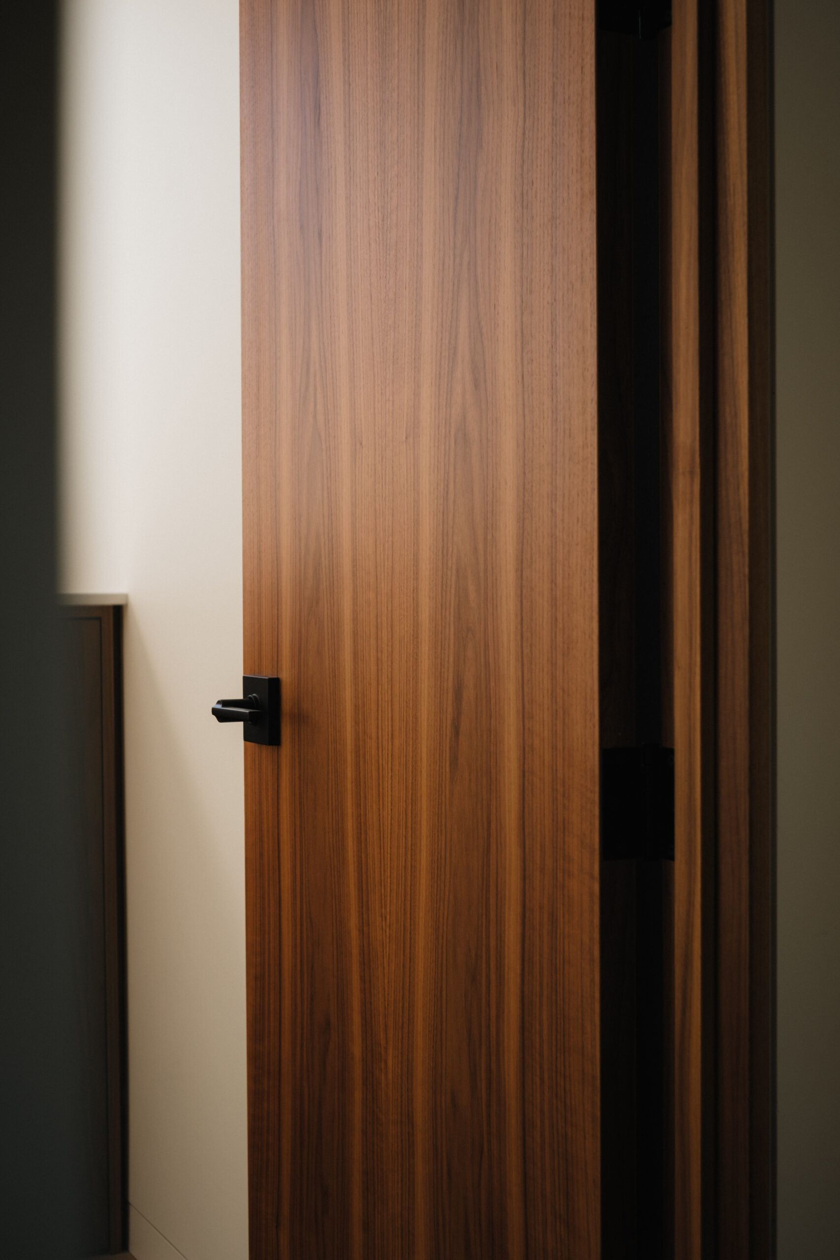 Veneer Doors